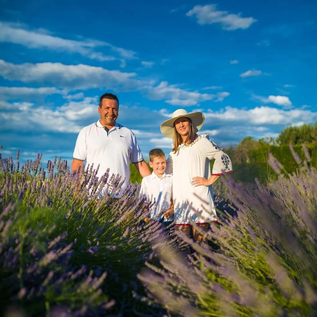 Dry-stone walls and terraced landscape on Hvar