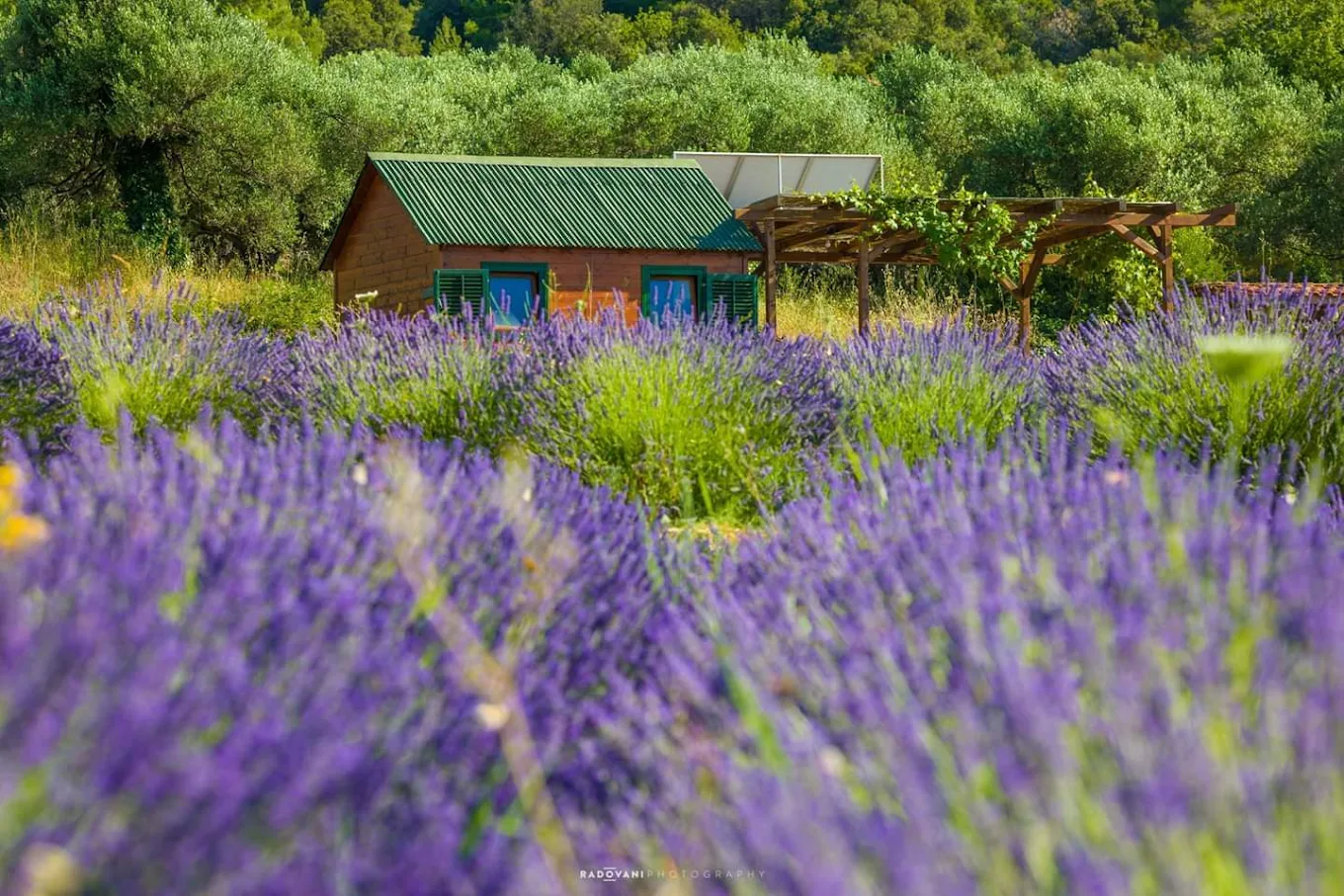 Winter scene in a Hvar interior village