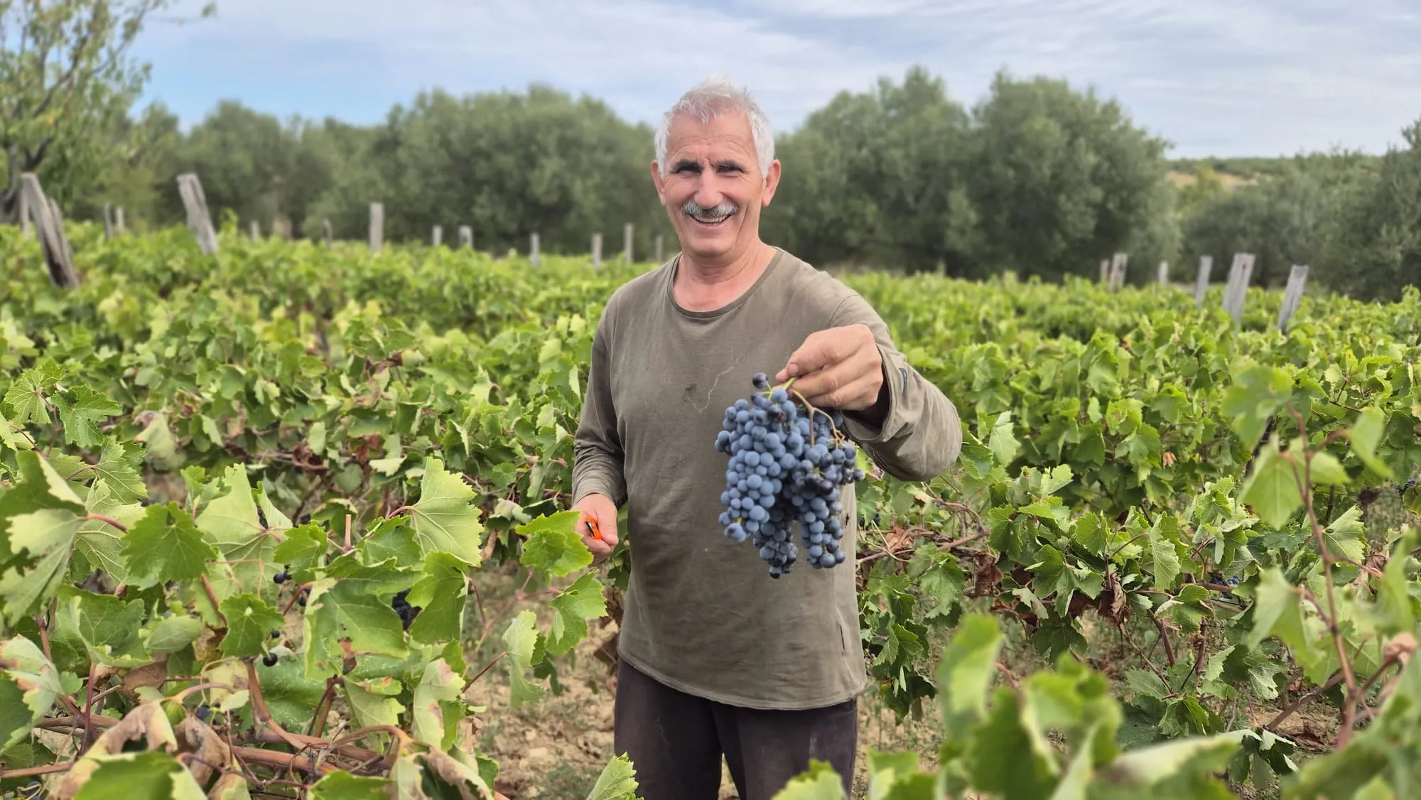 Omiš Old Town and Cetina River