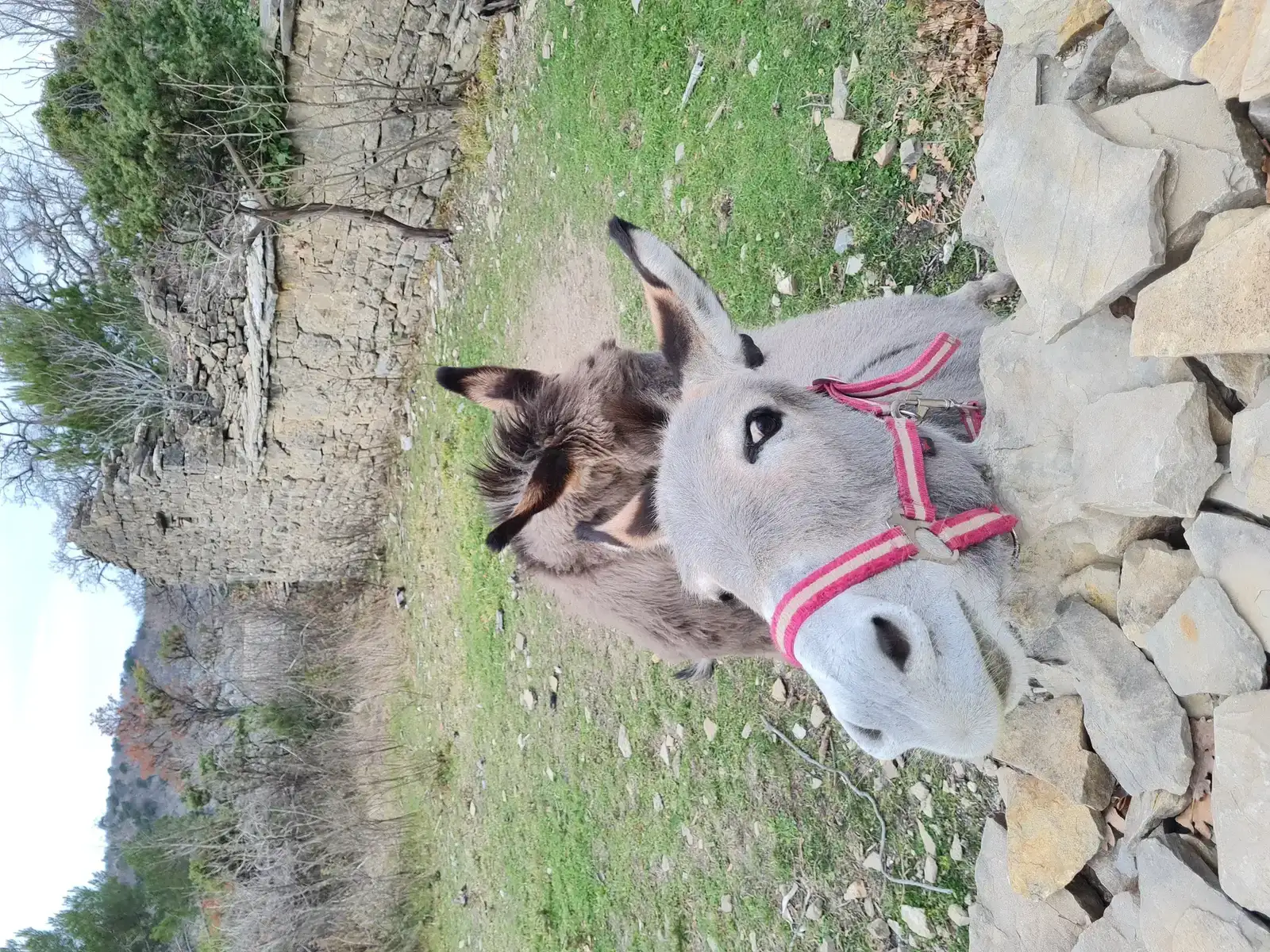 Omiš Old Town and Cetina River
