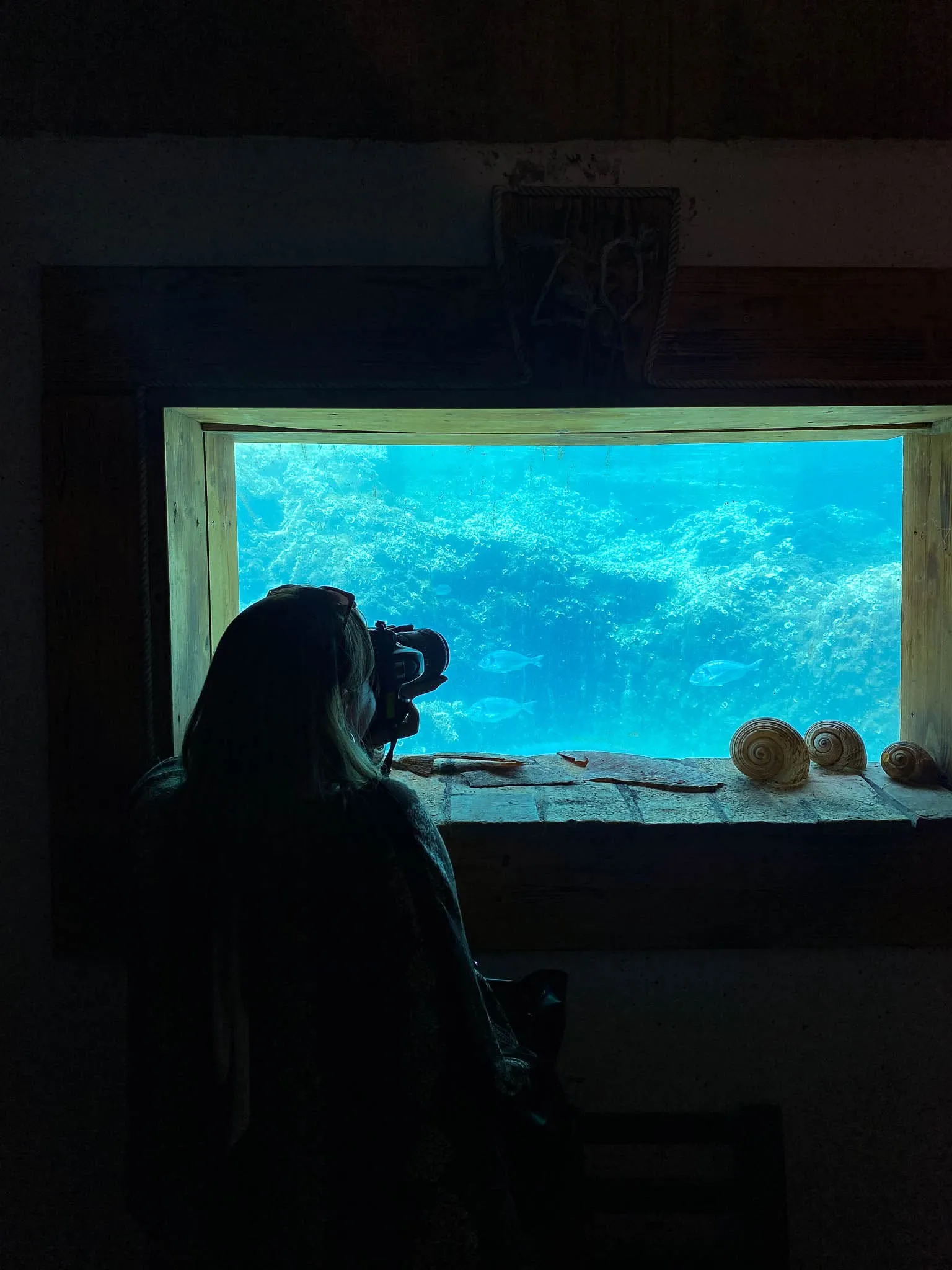 Hvar south coast vineyards